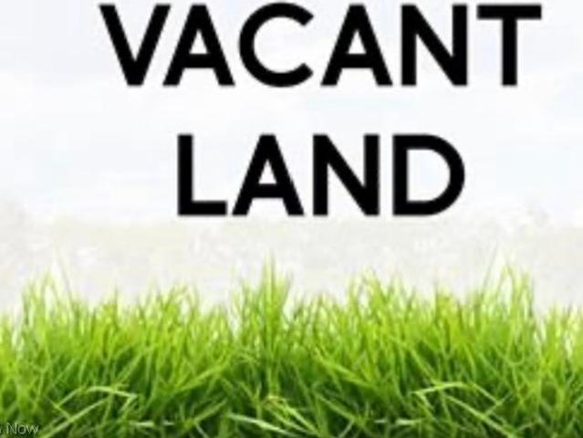 Land for sale in Painesville, Ohio