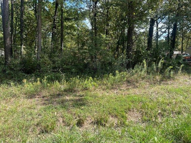 Land for sale in Polk, Texas