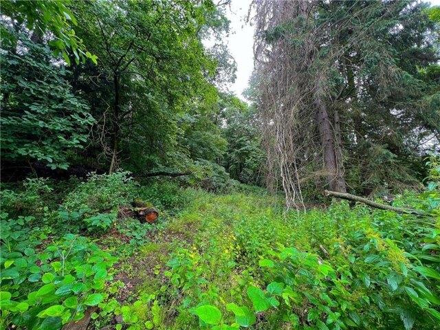 Land for sale in Renfrew