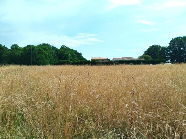 Terrain vente à Jonzac, Nouvelle-Aquitaine