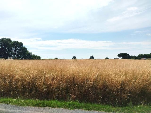 Terrain vente à Jonzac, Nouvelle-Aquitaine