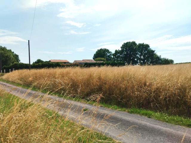 Terrain vente à Jonzac, Nouvelle-Aquitaine