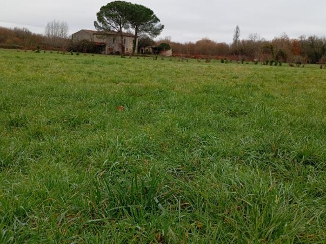 Terrain vente à Langon, Mérignas