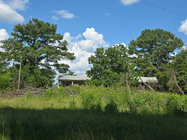 House for sale in Mendenhall, Mississippi