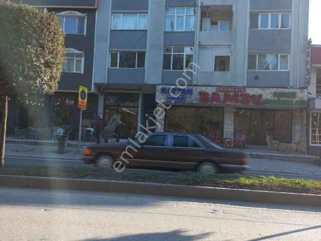 Erenler, Sakarya içerisinde kiralık mülk