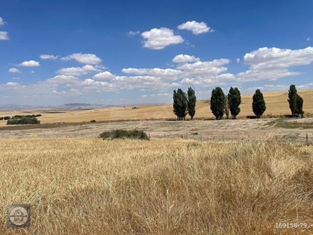 Gölbaşi, Ankara içerisinde satılık Arsa