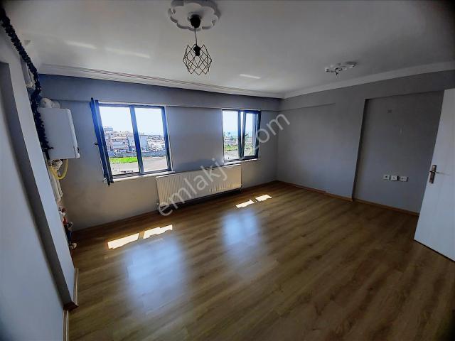Alapli, Zonguldak içerisinde kiralık mülk
