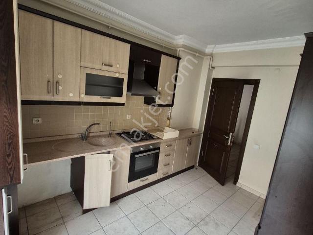 Düzce Merkez, Düzce içerisinde kiralık mülk