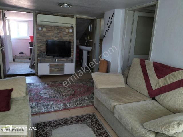 Adapazari, Sakarya içerisinde kiralık mülk