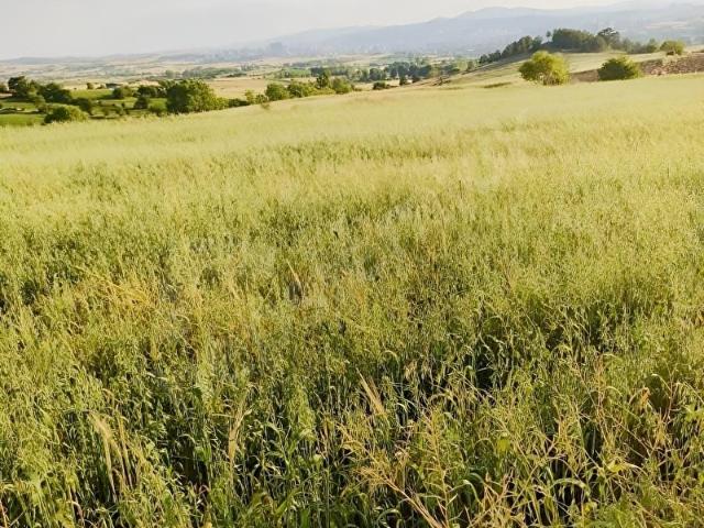 Kastamonu Merkez, Kastamonu içerisinde satılık Arsa