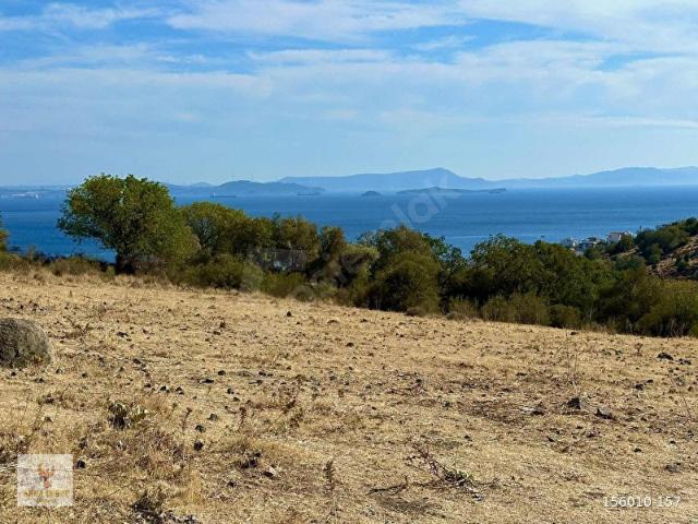 Dikili, İzmir içerisinde satılık Arsa