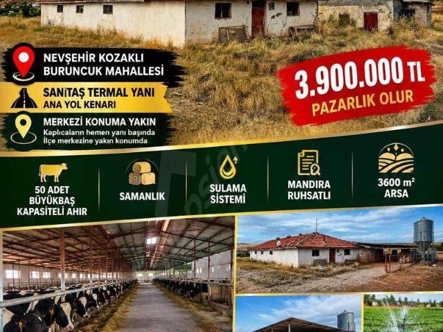 Kozaklı İlçe Merkezi, Kozaklı içerisinde satılık Fabrika