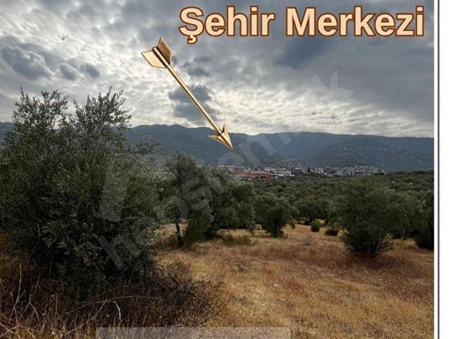 Bozdoğan, Aydin içerisinde satılık mülk