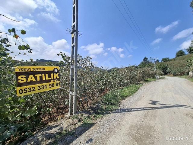 Ordu içerisinde satılık mülk