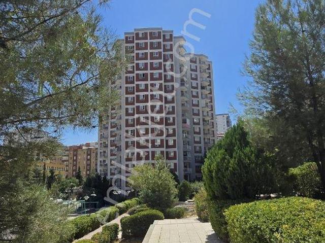 Mardin Merkez, Mardin içerisinde kiralık mülk