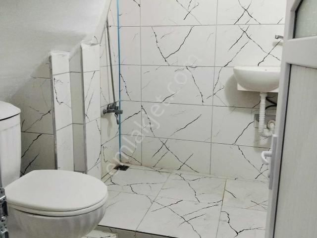 İstanbul Merkez, İstanbul içerisinde kiralık mülk
