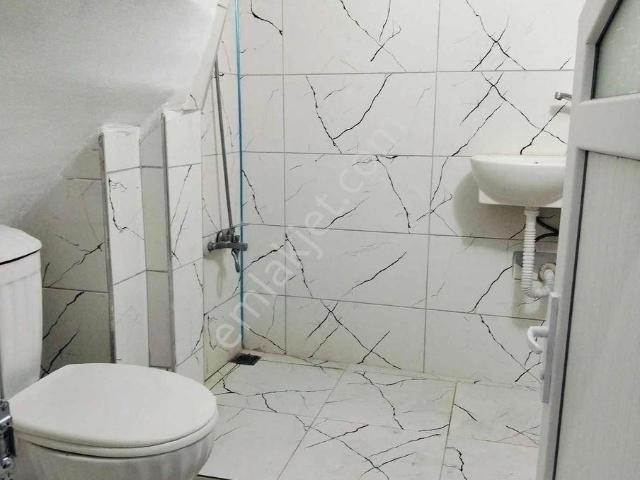 İstanbul Merkez, İstanbul içerisinde kiralık mülk