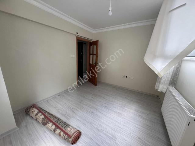 İstanbul Merkez, İstanbul içerisinde kiralık mülk