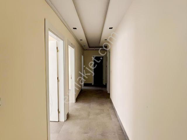 Doğancı, Mut içerisinde kiralık mülk