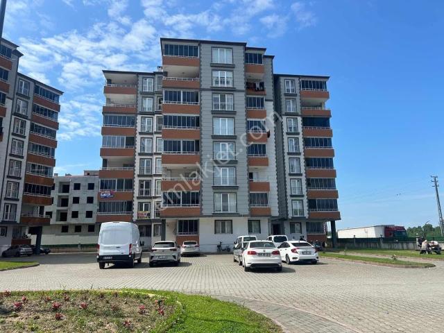 Çarşamba, Samsun içerisinde kiralık mülk