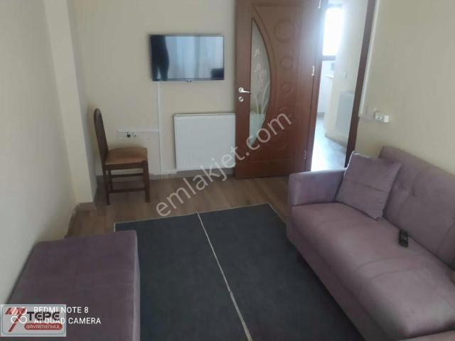 İstanbul Merkez, İstanbul içerisinde kiralık mülk