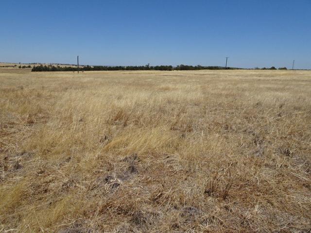Cottage for sale in Brookton, Western Australia