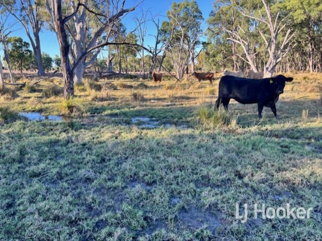 Cottage for sale in Inverell, New South Wales