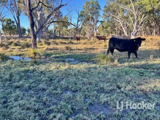 Cottage for sale in Limestone, New South Wales