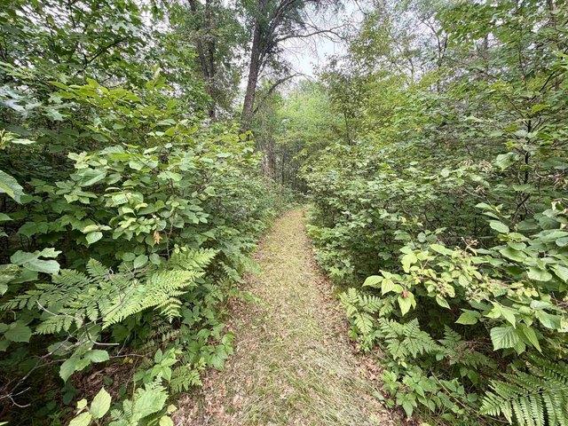 Land for sale in Crivitz, Wisconsin
