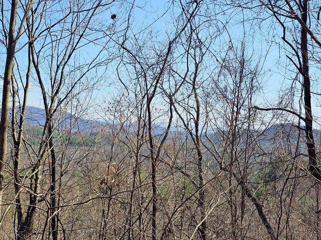 Land for sale in Murphy, North Carolina