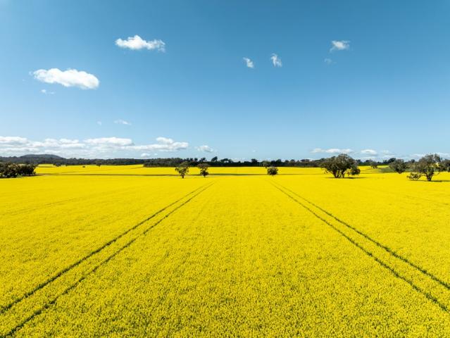 Property for sale in Henty, New South Wales