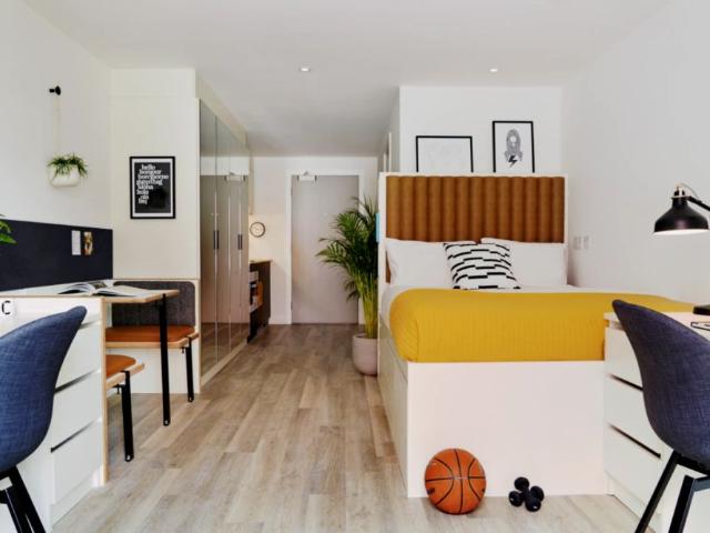 Studio for rent in Hollingdean, Brighton & Hove