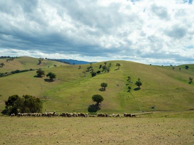 Cottage for sale in Ensay, Victoria