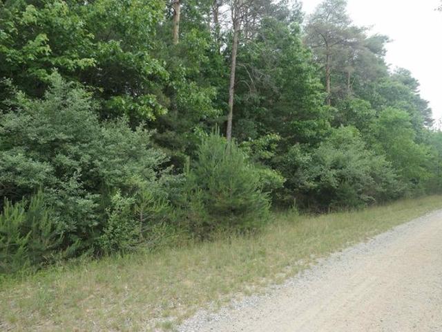 Land for sale in Vestaburg, Michigan