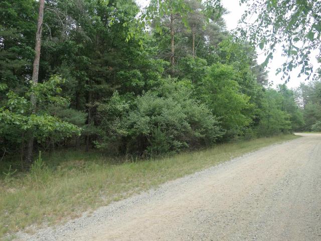 Land for sale in Vestaburg, Michigan