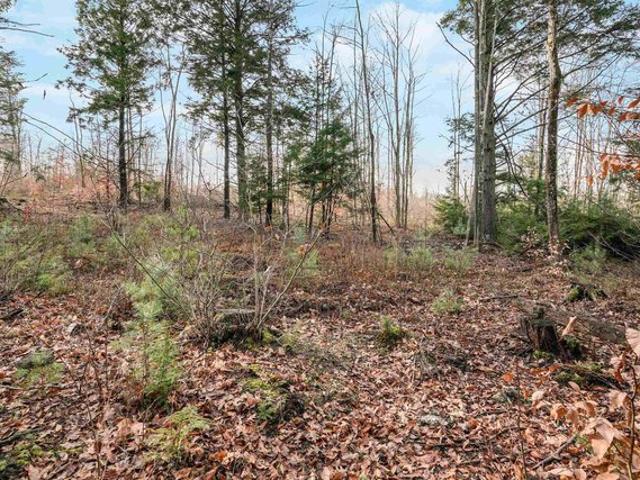 Land for sale in New Hampshire