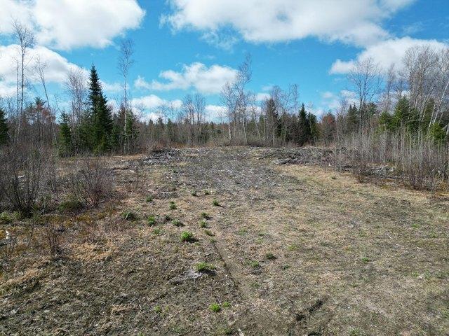 Land for sale in Island Falls, Maine