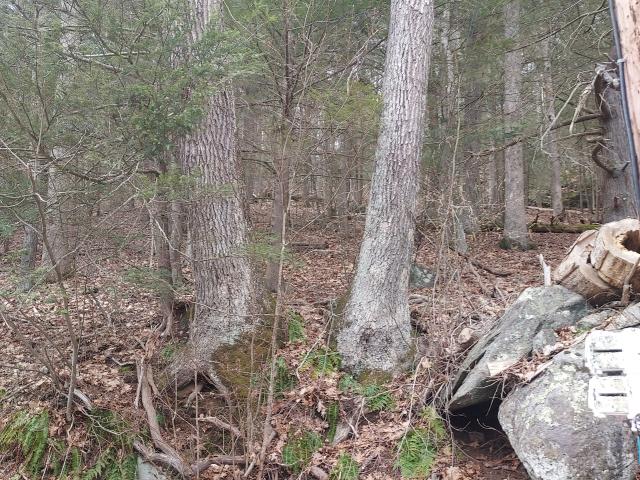 Land for sale in Mansfield Center, Connecticut