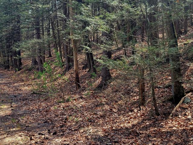 Land for sale in Bartonsville Land for sale in Bartonsville