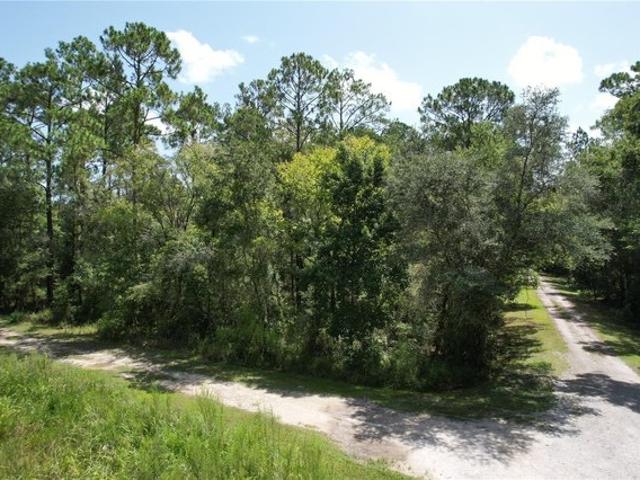Land for sale in Webster, Florida