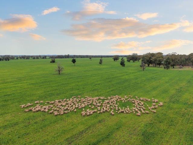 Acreage for sale in West Wyalong, New South Wales