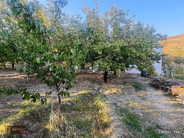 Üzümlü, Erzincan içerisinde satılık mülk