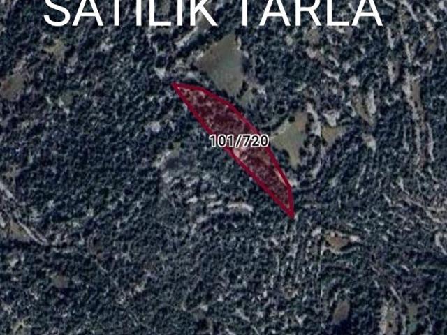 Erdemli, Mersin içerisinde satılık Arsa
