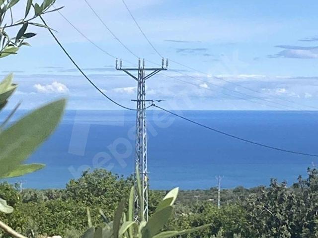 Erdemli, Mersin içerisinde satılık mülk