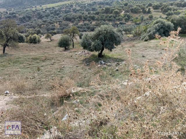Hebilli, Akdeniz içerisinde satılık Arsa