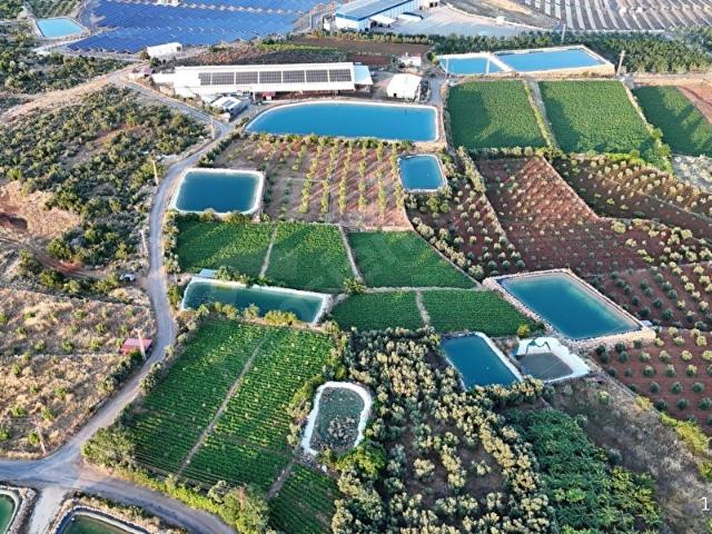 Erdemli, Mersin içerisinde satılık mülk