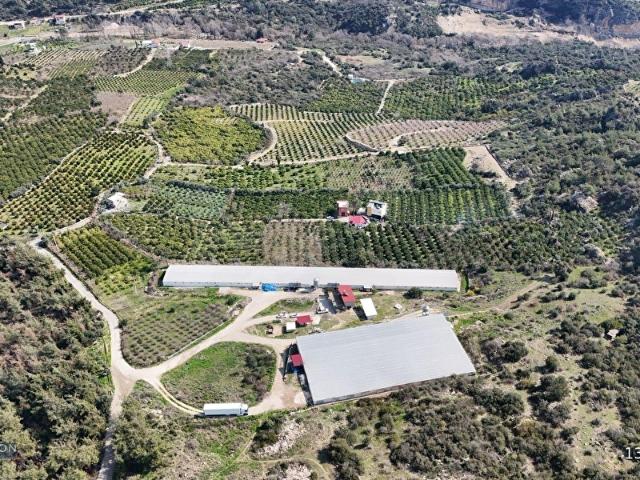 Toroslar, Mersin içerisinde satılık Fabrika