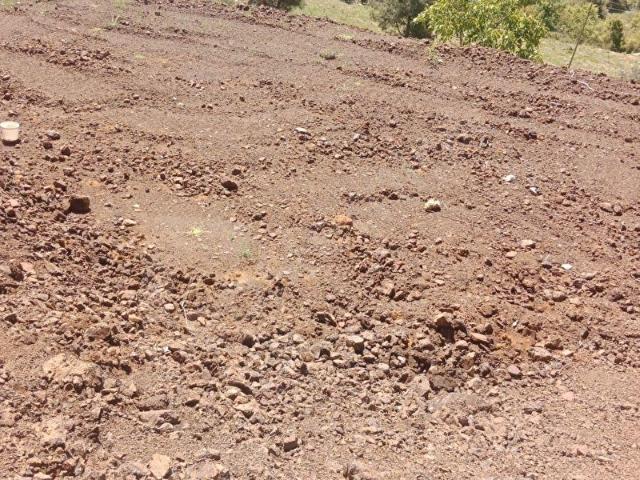 Tarsus, Mersin içerisinde satılık Arsa