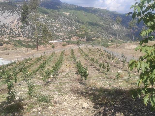 Çamliyayla, Mersin içerisinde satılık mülk