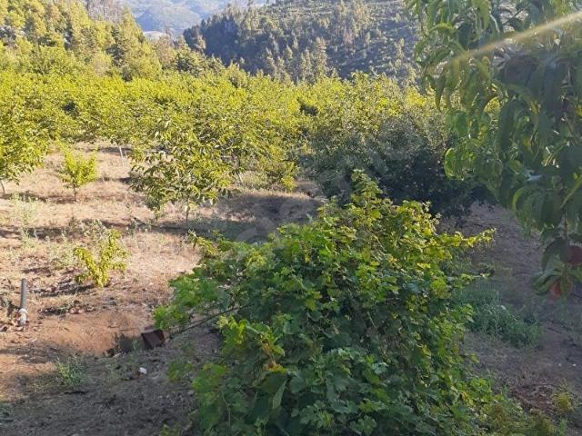 Toroslar, Mersin içerisinde satılık mülk